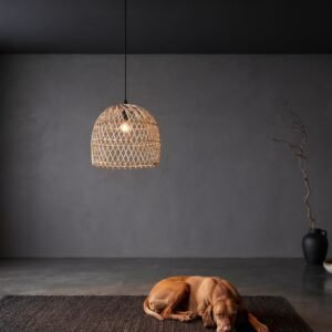 The Noma – Diamond Weave Cane Pendant Light